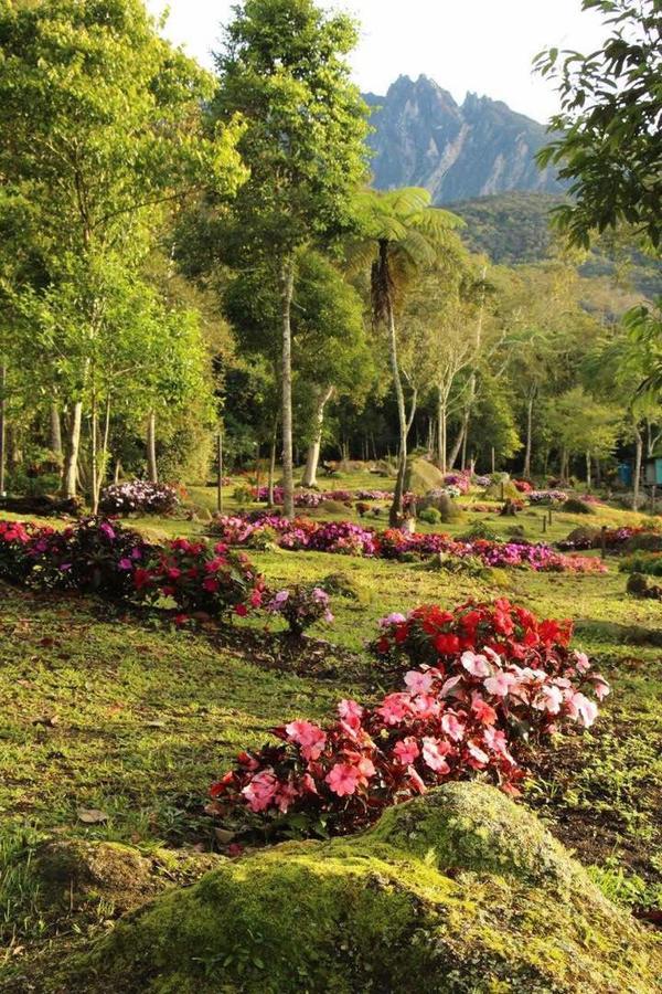 Spring Garden Hotel Kundasang ภายนอก รูปภาพ